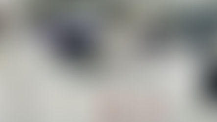 A Fencer in the Front Office