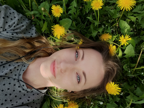 Mniszek lekarski - wszechobecna niezłomność i światło