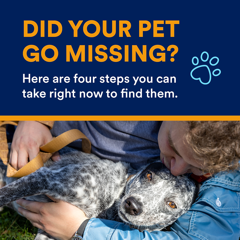 Petco Love Lost SFTS Animal Rescue