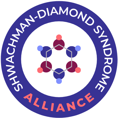 Writer: SDS Alliance Team