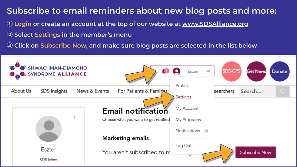 Graphic showing how to subscribe to Shwachman-Diamond Syndrome Alliance blog emails: login to member area, select settings, and click Subscribe Now.
