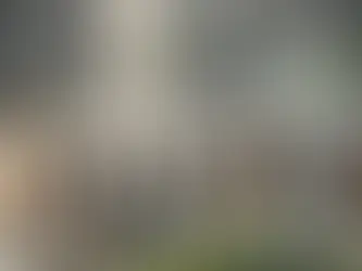 Bunt dorosłych?