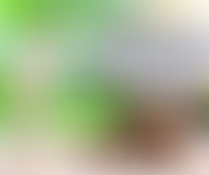 Недержавне пенсійне забезпечення в Україні