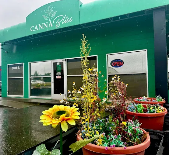 Cannabliss