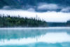 2b914873-f072-4a2d-bc0c-436644ee8271.jpg