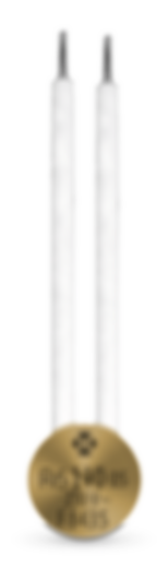 CR6