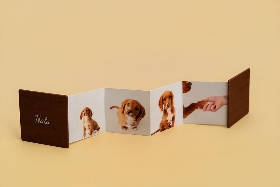 Thumbnail: Accordion Mini Book