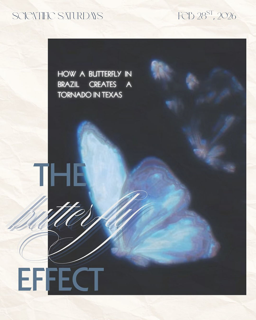 The Butterfly Effect: How A Butterfly in Brazil Creates A Tornado in Texas