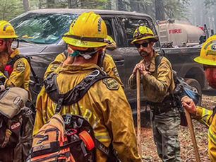 The Florida Forest Service is a division of the Florida Department of Agriculture and Consumer Services (FDACS) and employs specialized Incident Management Teams for wildfire fighting