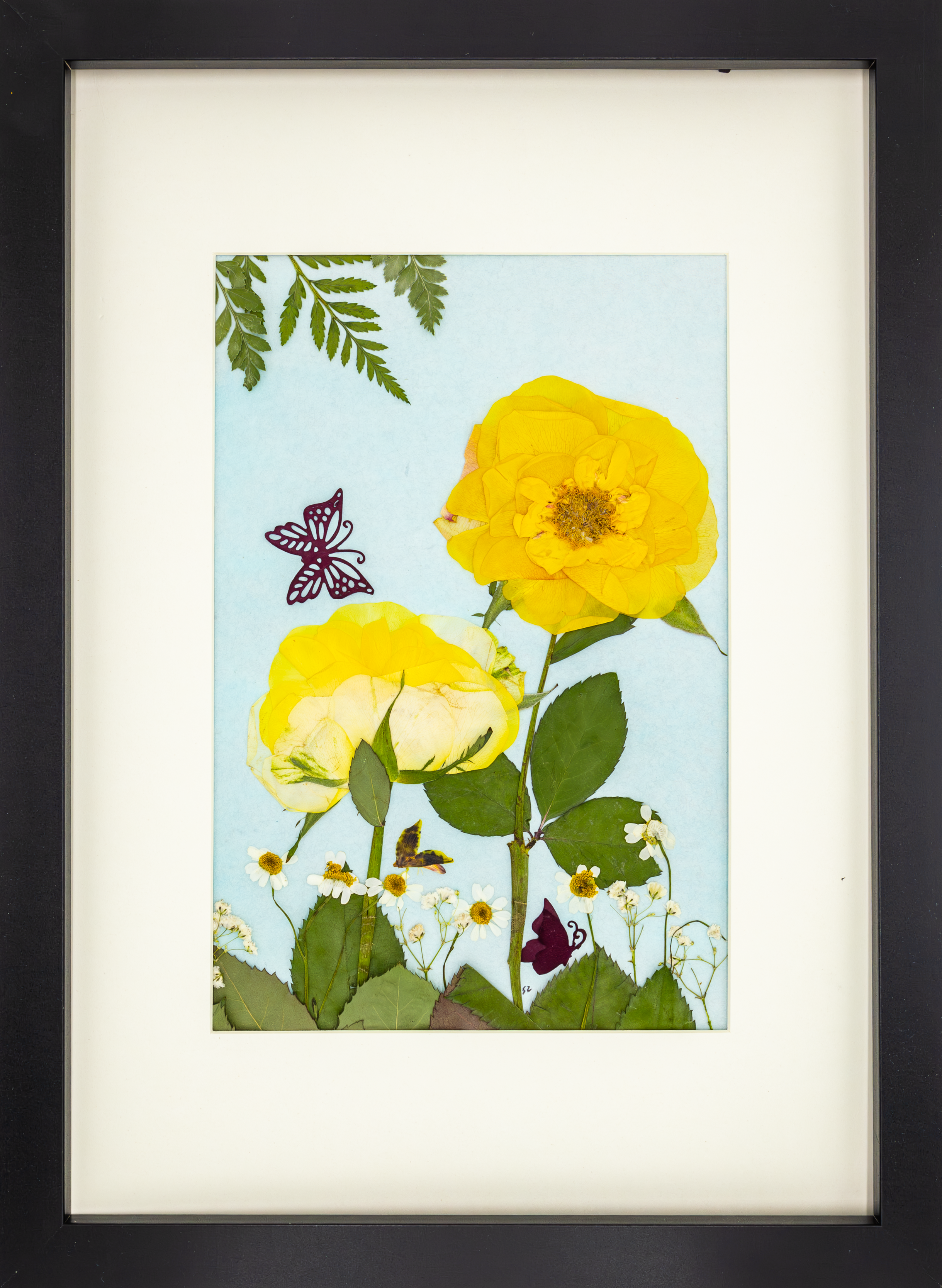 "Golden Light from the Garden"- Original Pressed Yellow Rose Art Frame (A3 Size)