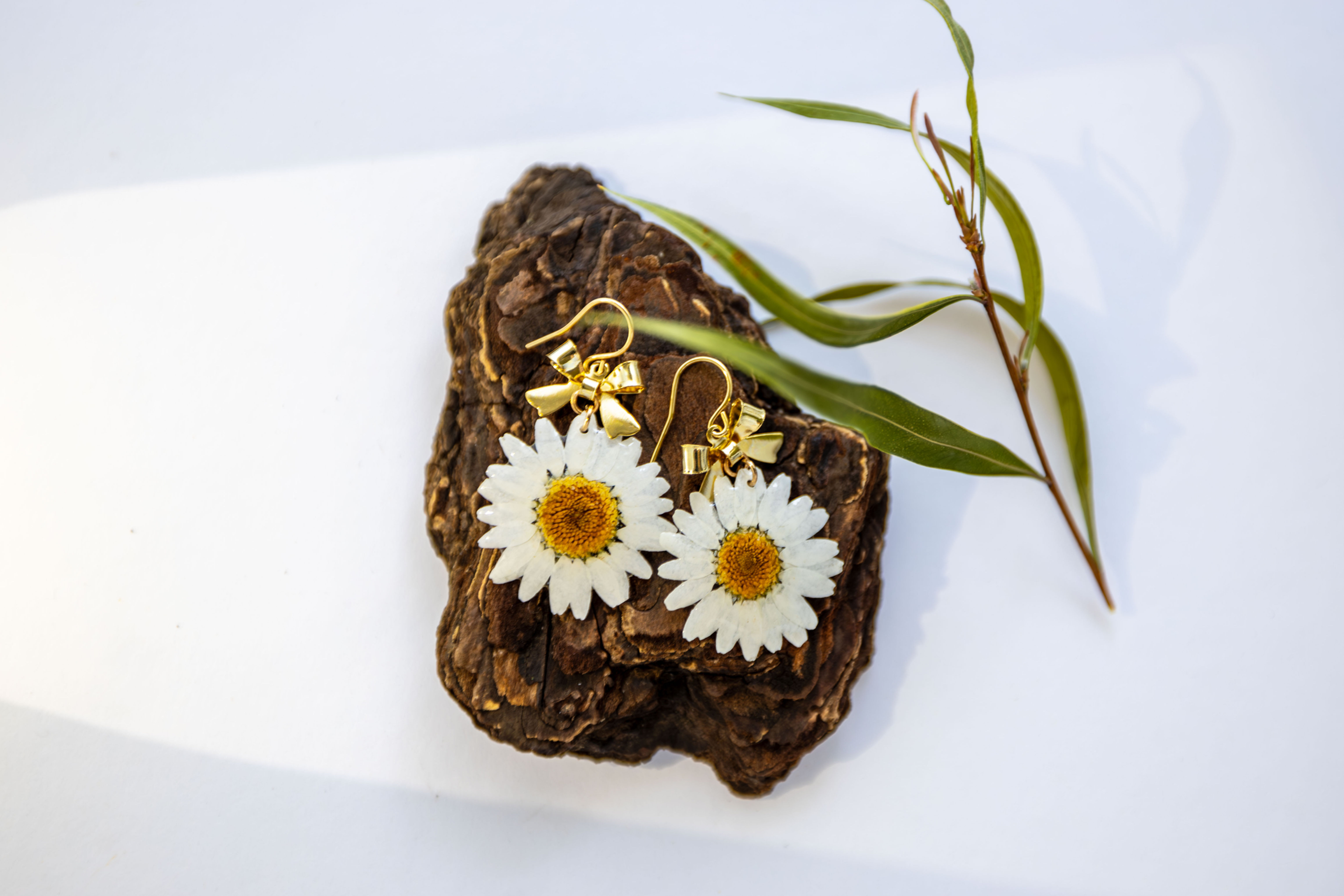 Elegant simple Earrings with Real White Daisy and Metal Butterfly Bow