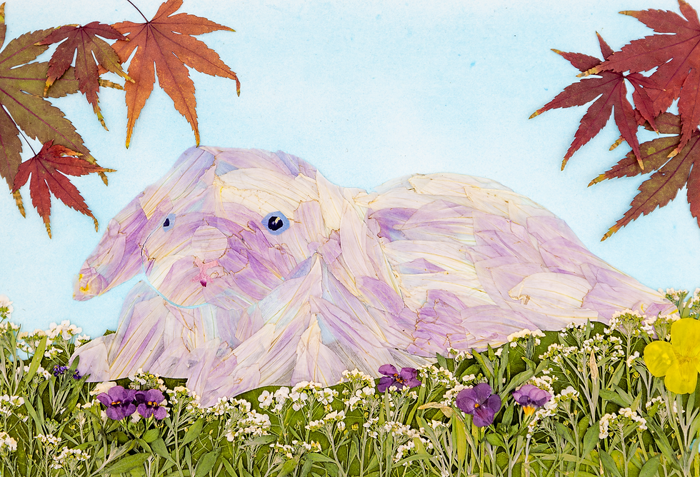 🐇 A4 Pressed Flower Art Frame – Pink Bunny Under the Maple Tree