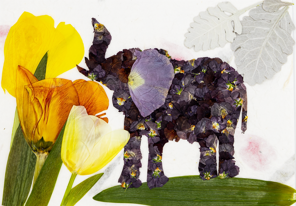 Floral Elephant Smelling Flowers--A4 Pressed Flower Art Frame