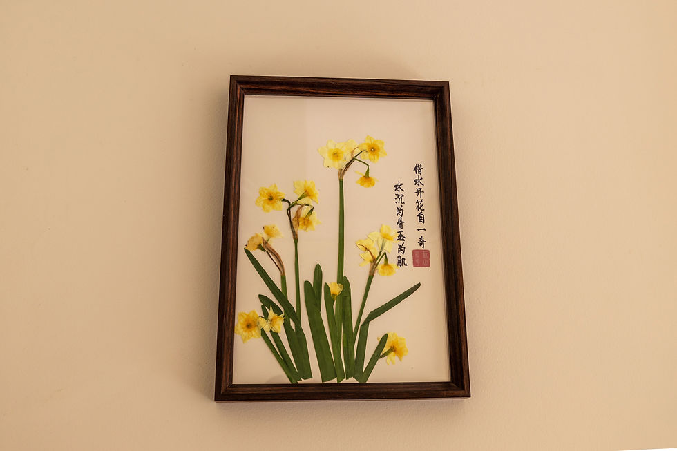2024 pressed daffodil arrangement Frame