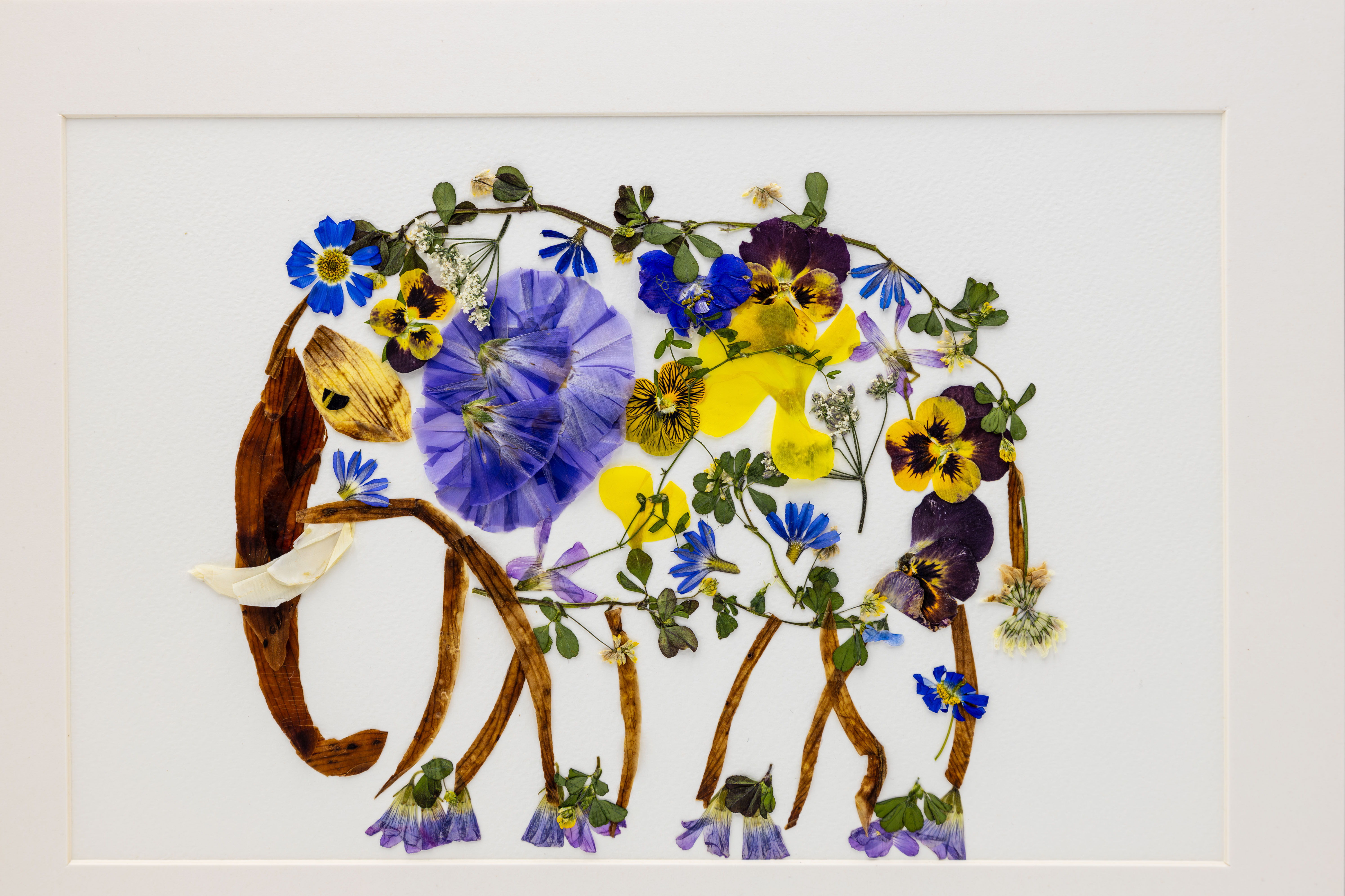 Pressed Flower Elephant Art | A4 Size | Sealed & Preserved | Unique Gift for Animal Lovers