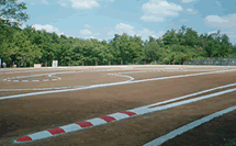 11.gif