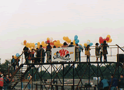 13.gif