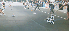 21.gif