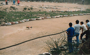 3.gif