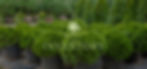 Inventory Header 2160.jpg