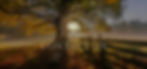 Contact Header 2160.jpg