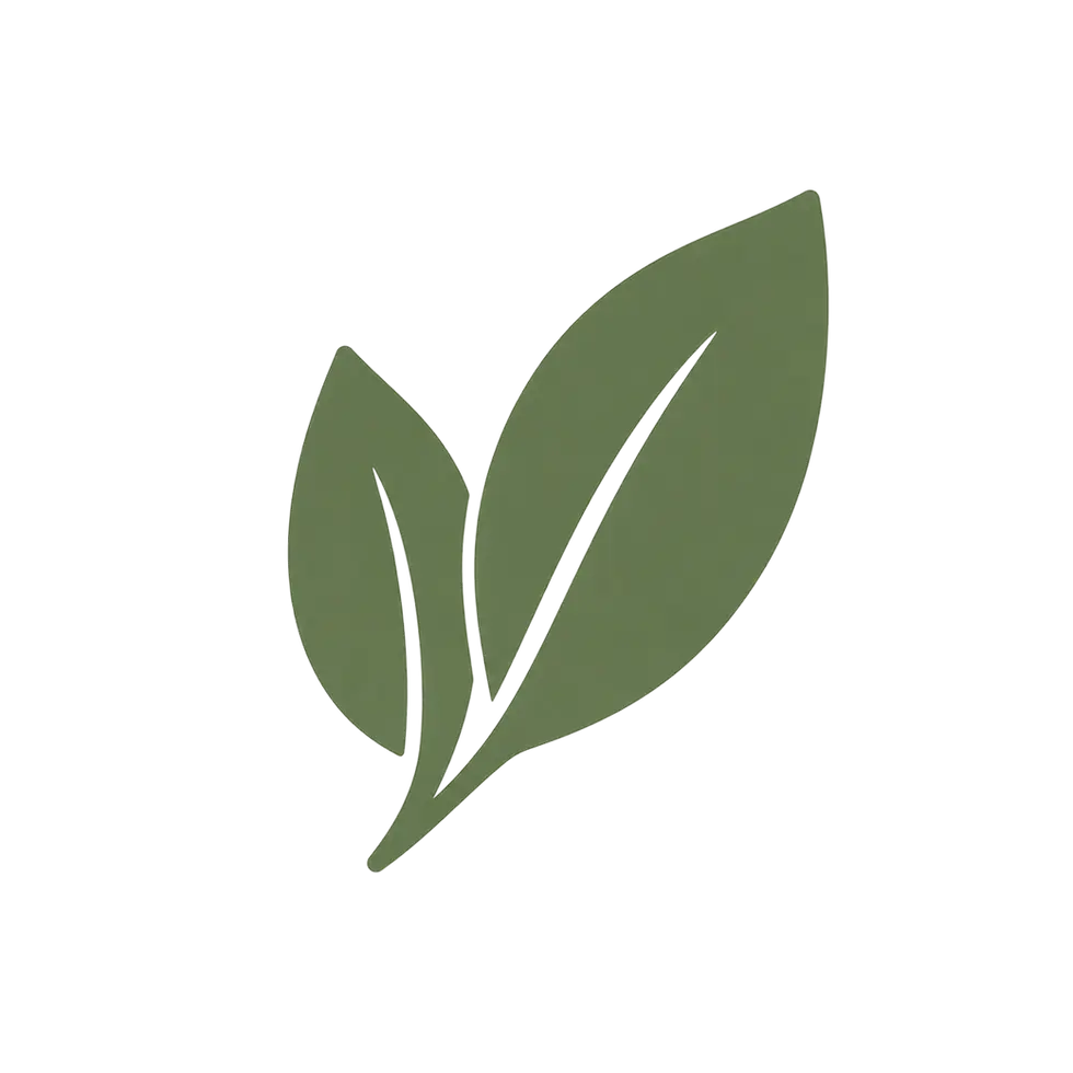 BEA9C84B-9DB5-4938-84CF-2DFFA4029EAE_edited.png