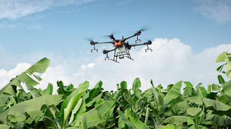 Epandage par drone de produits phytosanitaires : que dit la loi du 23 avril 2025 ?