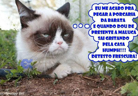 FB_IMG_1554200037288.jpg