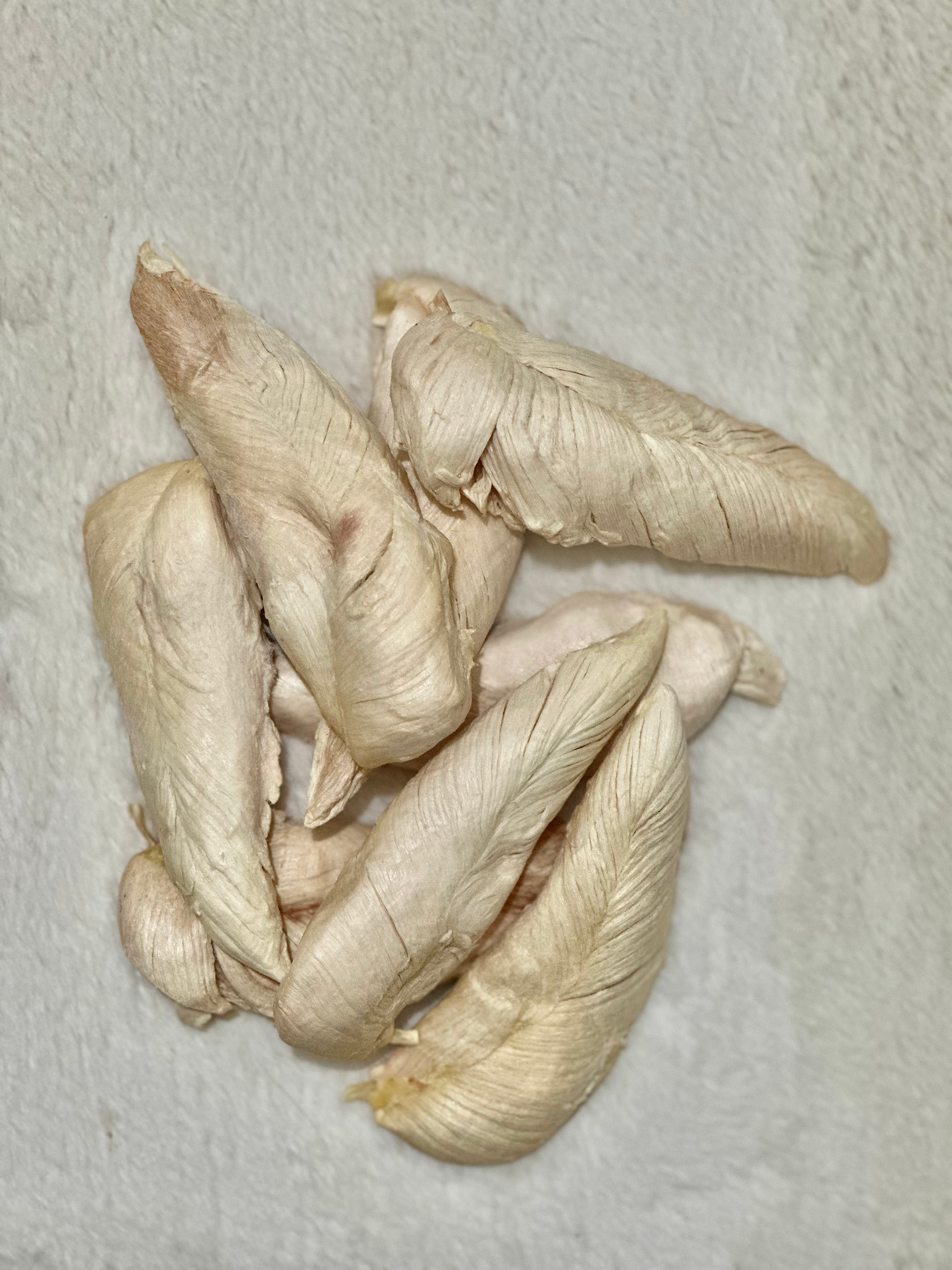 Freeze Dried Chicken Tenders 