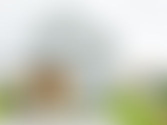 お盆休み 8月13日から15日までお休みです。お電話でのお問合せは受け付けております(0966-38-0602)弊社・建築工房なかむら(株)はデザインカーサ加盟店です。建築家とお施主様と施工会社・3者で作る家!3者でワクワク♪しながらの家作りしませんか!