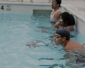 Participants in the pool.