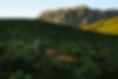 DSC04731-2.jpg
