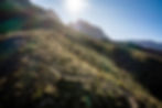 stellenbosch-274.jpg