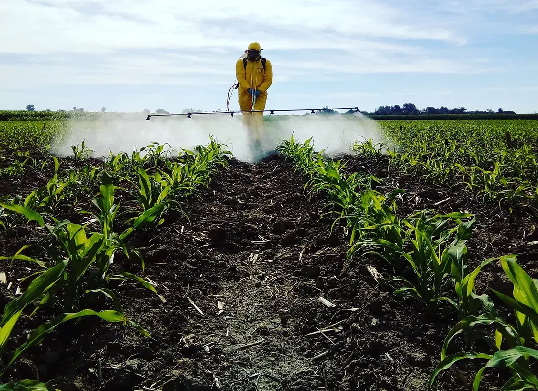 BED BUG KILLER 200ML