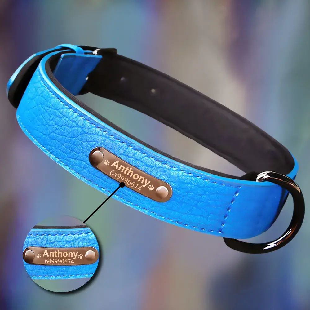 The Engraved Collar