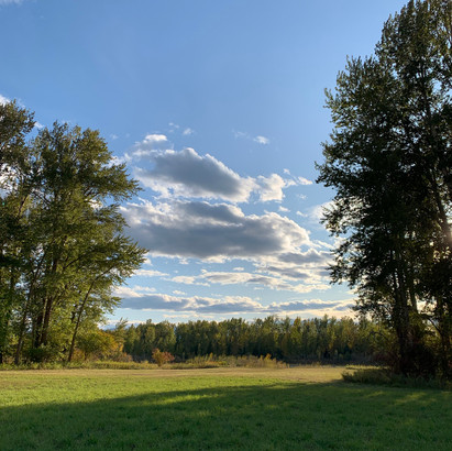 IMG_4260.jpeg