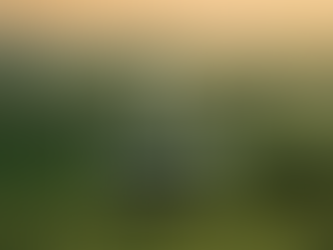 Eastfield Glamping Farm