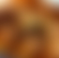 ALBÓNDIGAS VEGANAS DE SOJA TEXTURIZADA