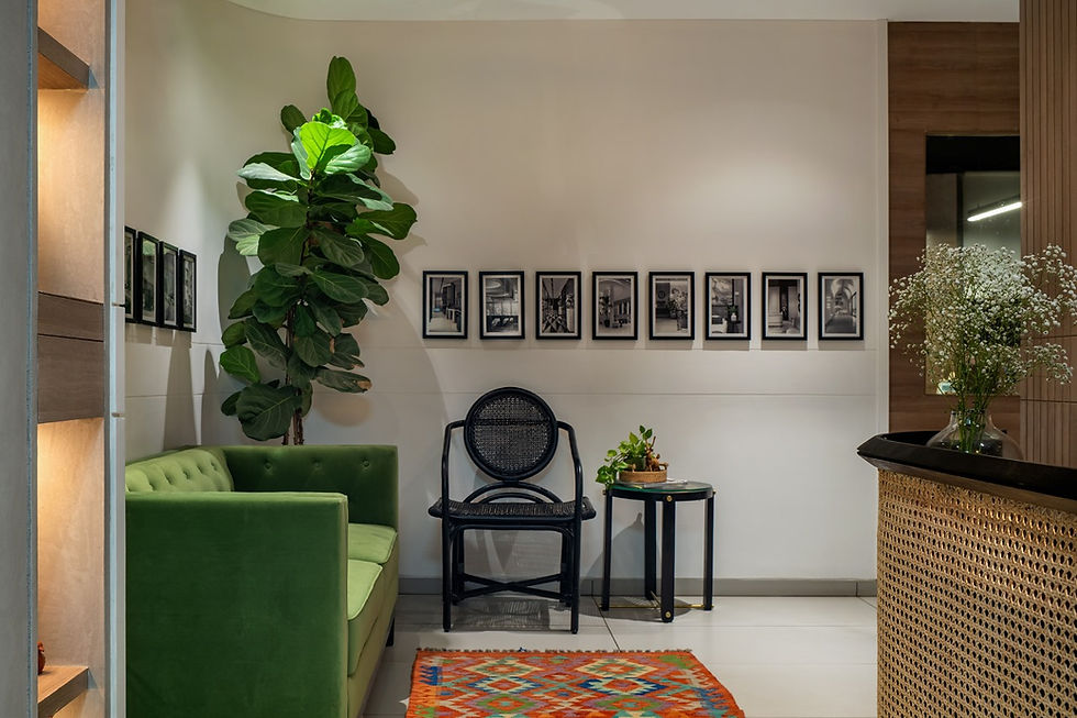 WhatsApp Image 2025-02-20 at 15.58.55.jpeg