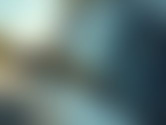 Enhance Your Vehicle with Professional Window Tinting Services