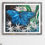 Thumbnail: Blue Jasmine Butterfly