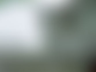 clogged gutters water damage improper gutter slope