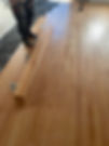 beech clip.jpeg