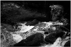 30 avril 2016 _MG_1416.jpg