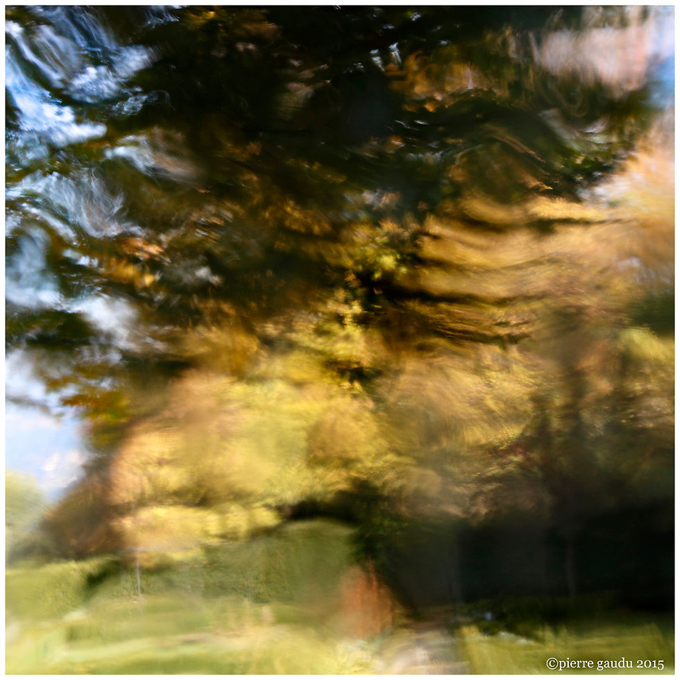 jardin 17 oct 2015 6311
