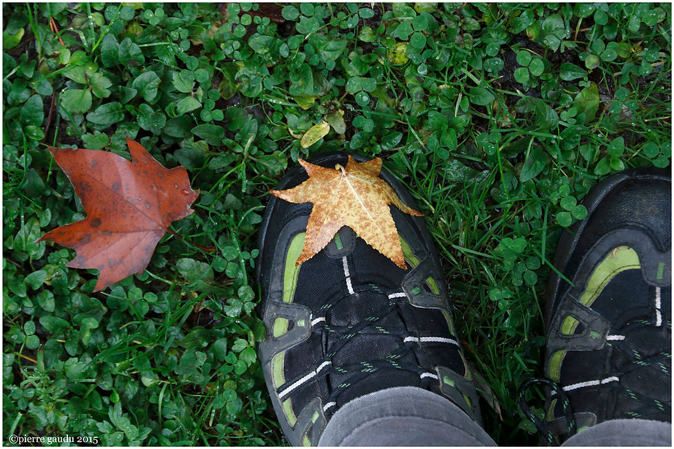 une étoile au pied
