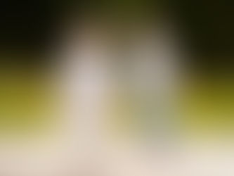 Трябва ли да се борим за Любовта?