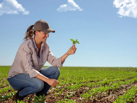 Adequação Ambiental Valoriza Terras e Garante Crédito Rural