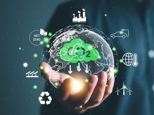 Crescimento das empresas certificadoras de créditos de carbono reflete expansão global do mercado