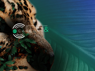 ACC participates in the Brazilian Climate and Carbon Conference 2024 in São Paulo